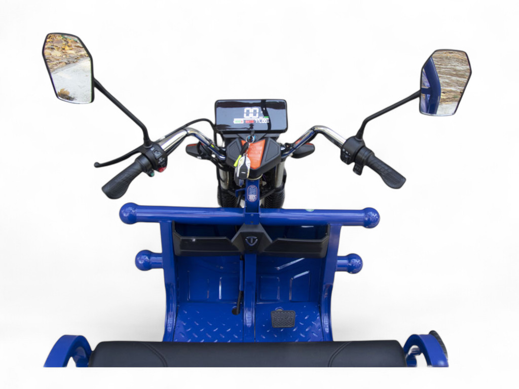 Электротрицикл TaiLG TL1000