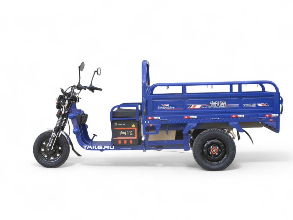 Электротрицикл TaiLG TL1000