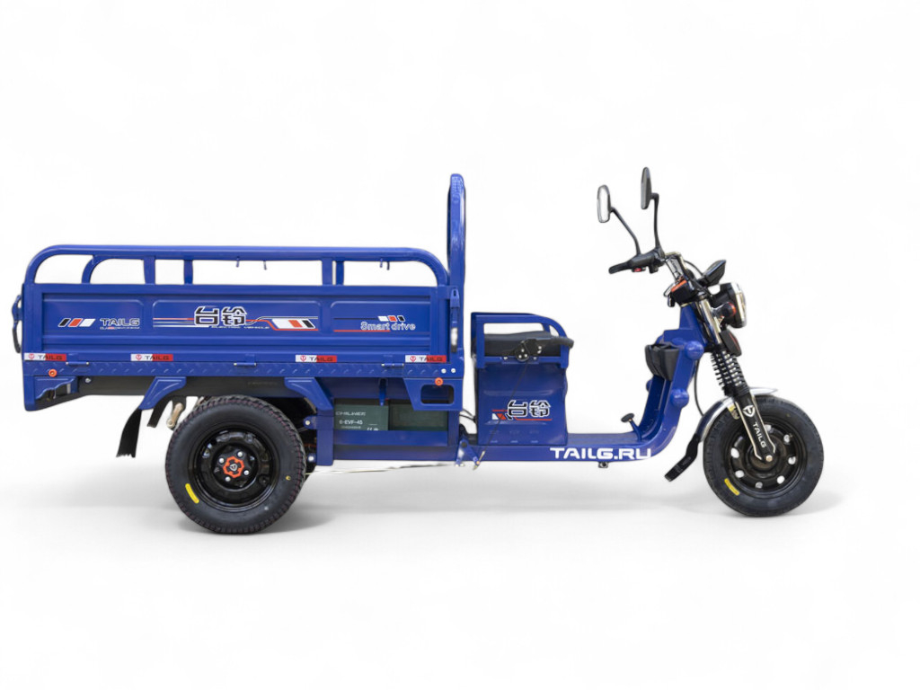 Электротрицикл TaiLG TL1000